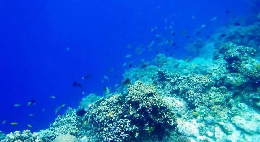 Panglao Kalikasan Dive Resort